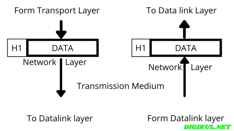 5-important-functions-of-network-layer